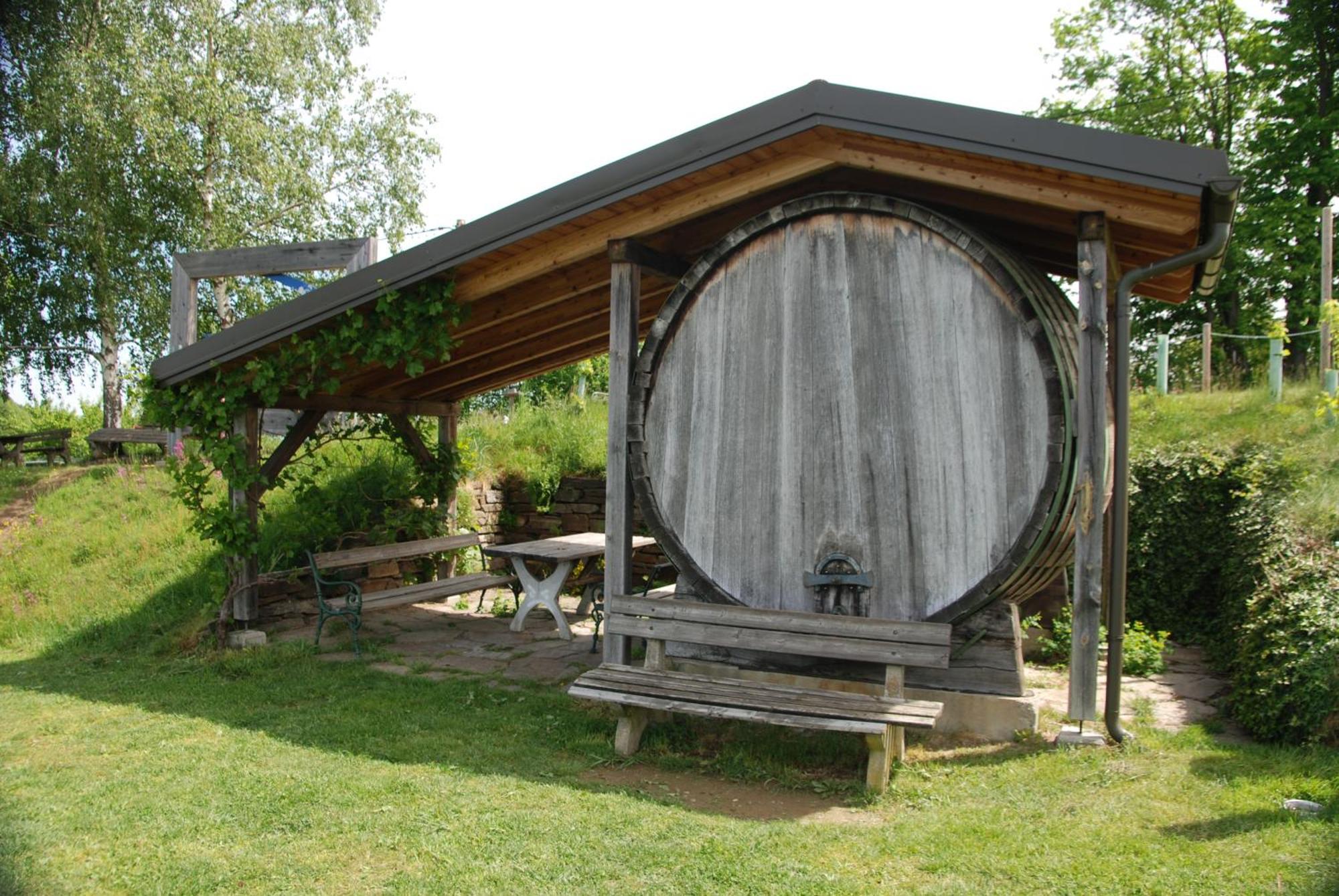 Naturpark-.Weinbergferienhaus Китцекк-им-Заузаль Экстерьер фото